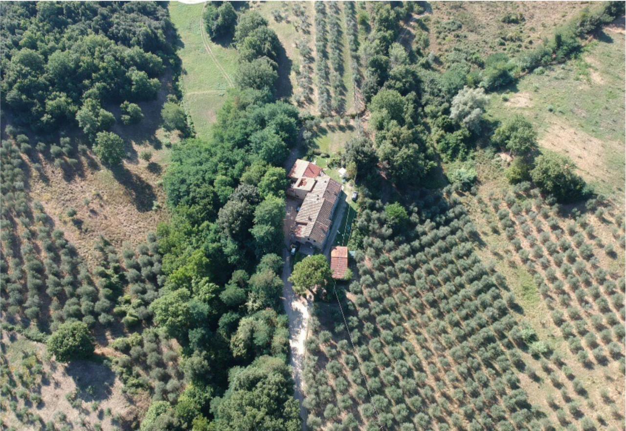 Agriturismo Fattoria Celle Фільїне-Вальдарно Екстер'єр фото