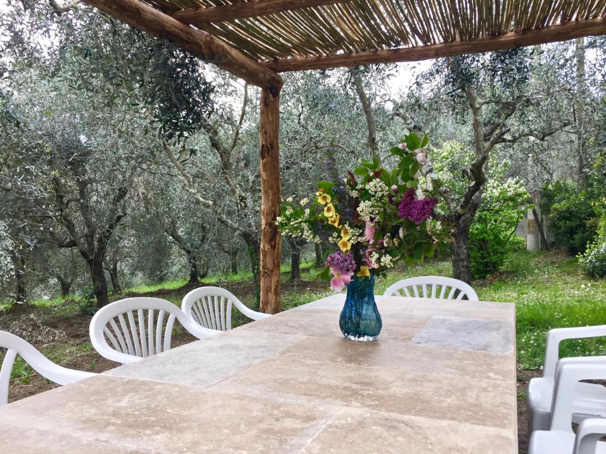 Agriturismo Fattoria Celle Фільїне-Вальдарно Екстер'єр фото