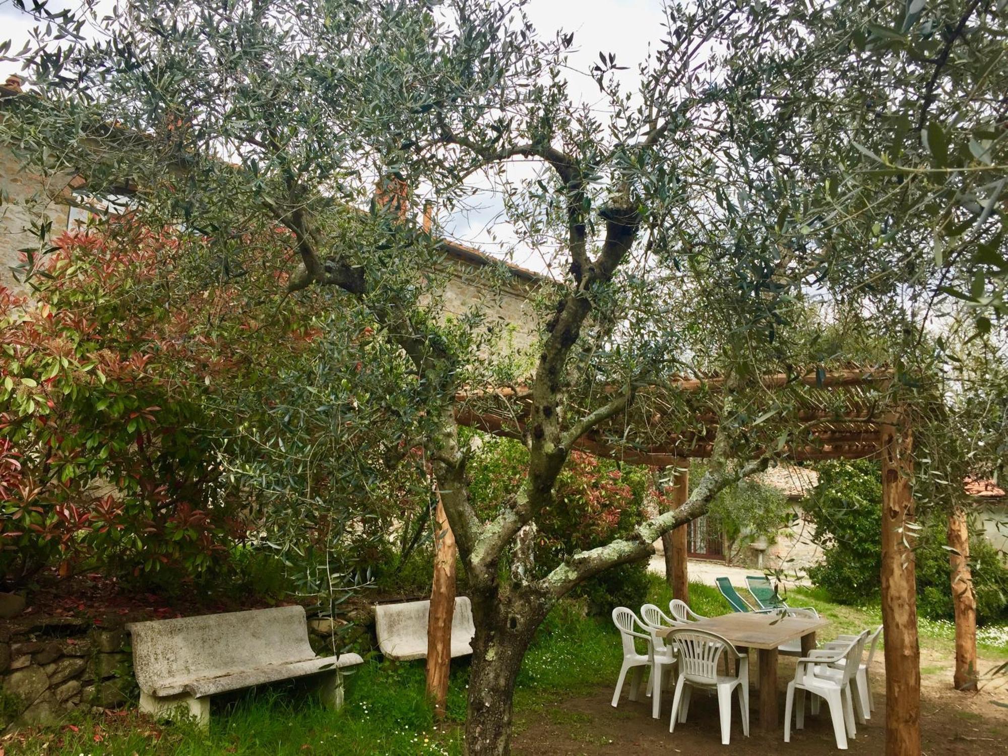 Agriturismo Fattoria Celle Фільїне-Вальдарно Номер фото