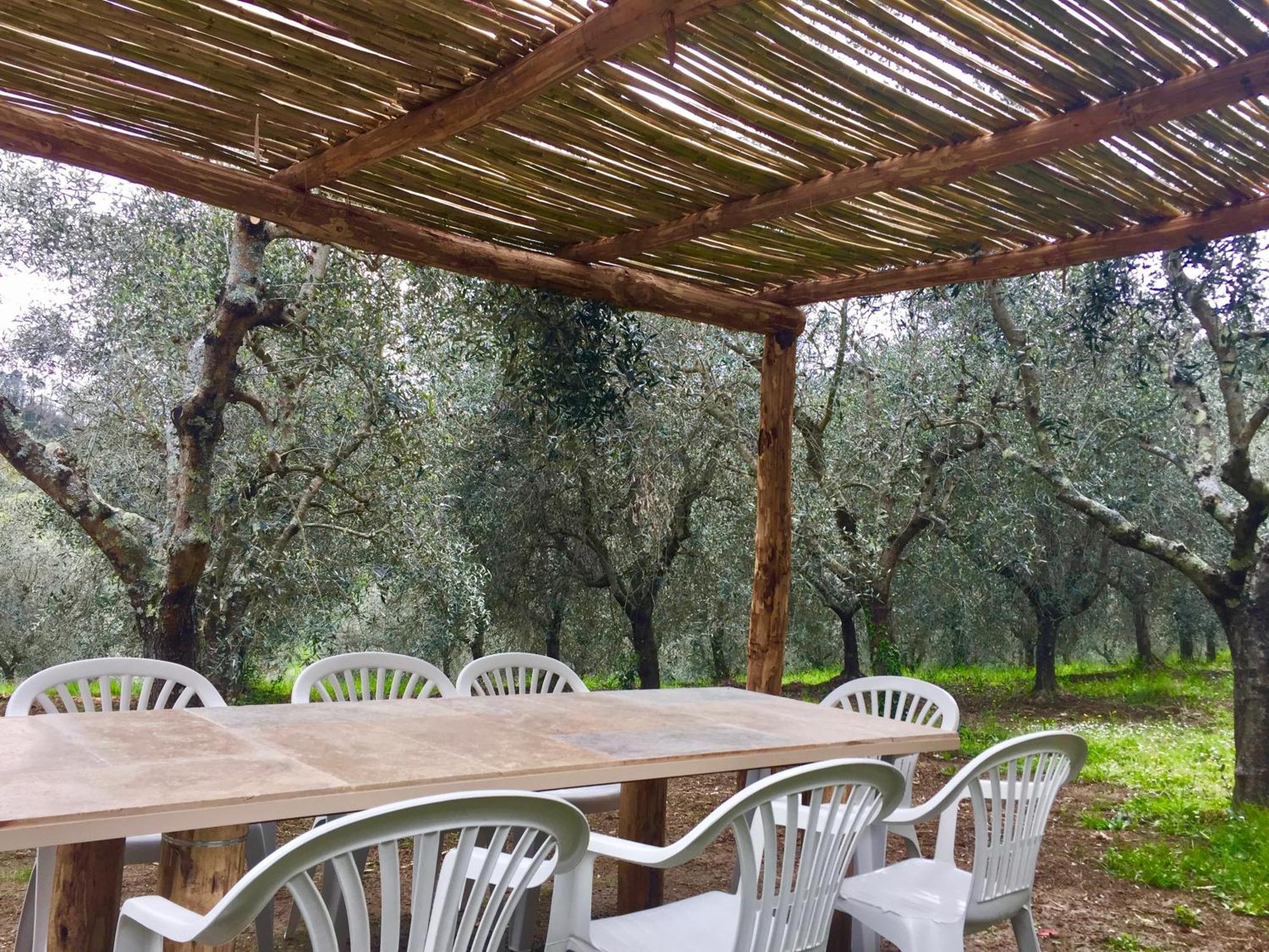 Agriturismo Fattoria Celle Фільїне-Вальдарно Номер фото