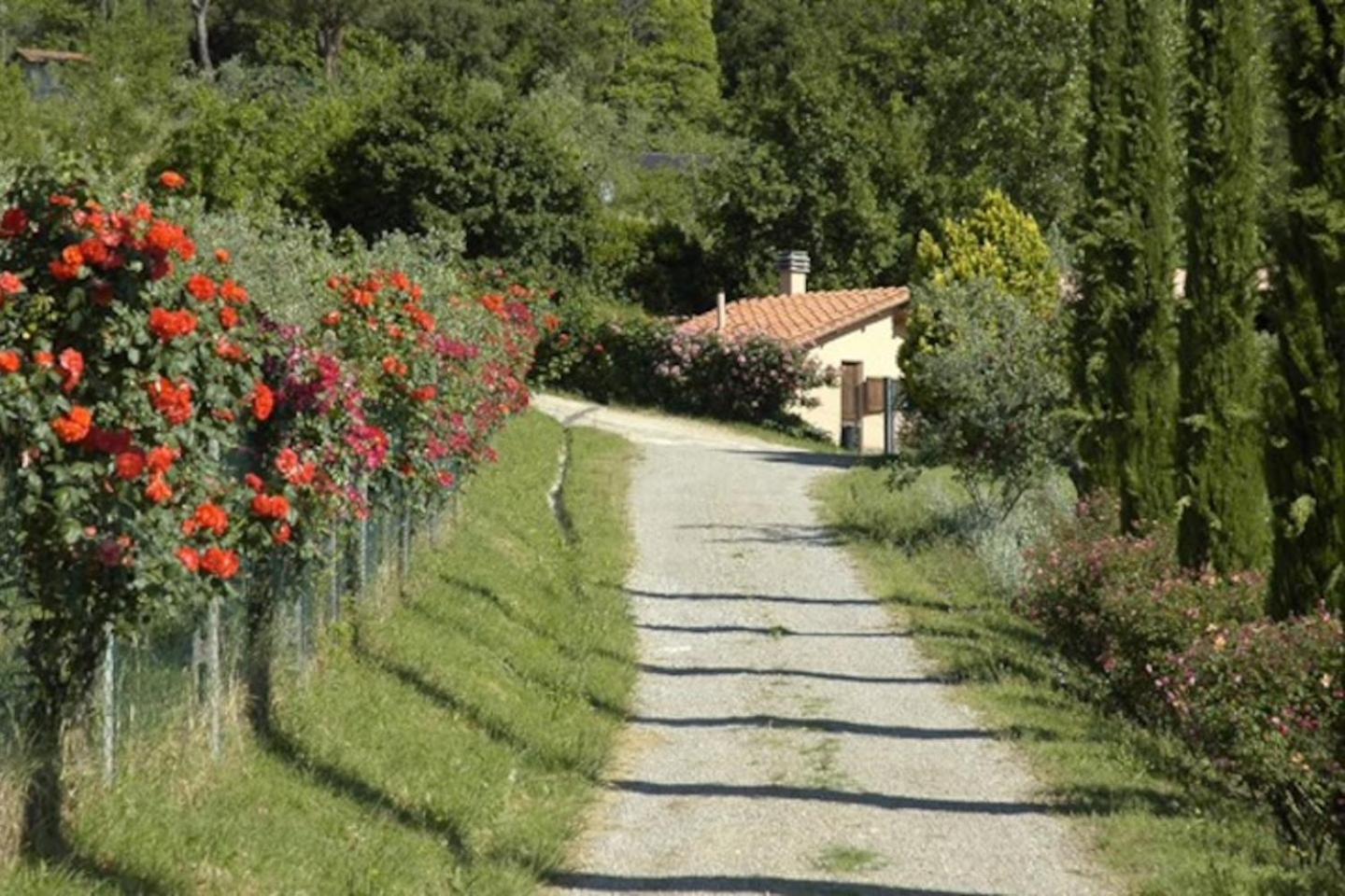 Agriturismo Fattoria Celle Фільїне-Вальдарно Номер фото